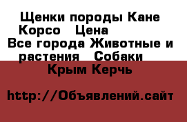 Щенки породы Кане-Корсо › Цена ­ 25 000 - Все города Животные и растения » Собаки   . Крым,Керчь